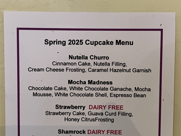 Nutella Churro Cupcake-Gourmet Girls Gluten Free Bakery/Bistro-Tucson