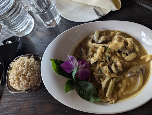 Chicken yellow curry-1618 Asian Fusion-Austin