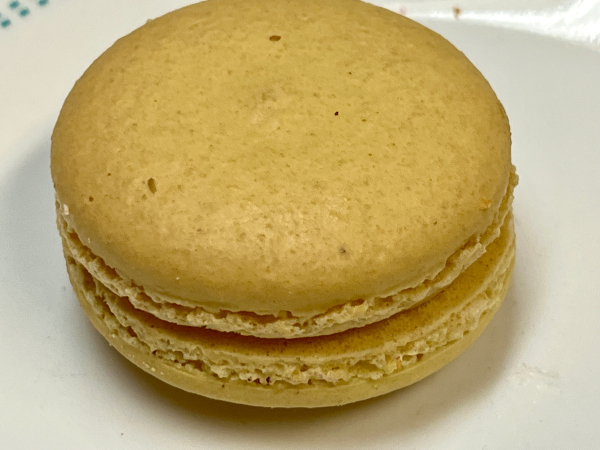 White Rabbit Mochi Donut-OMG Squee-Austin