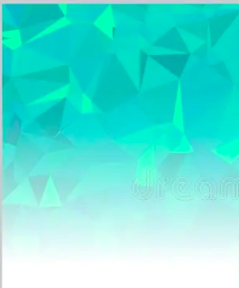 Test-Real Spice Pizzeria-Ahmedabad