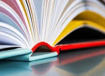 Test-Real Spice Pizzeria-Ahmedabad