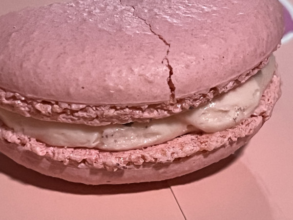 Rose Strawberry Macaron-OMG Squee-Austin