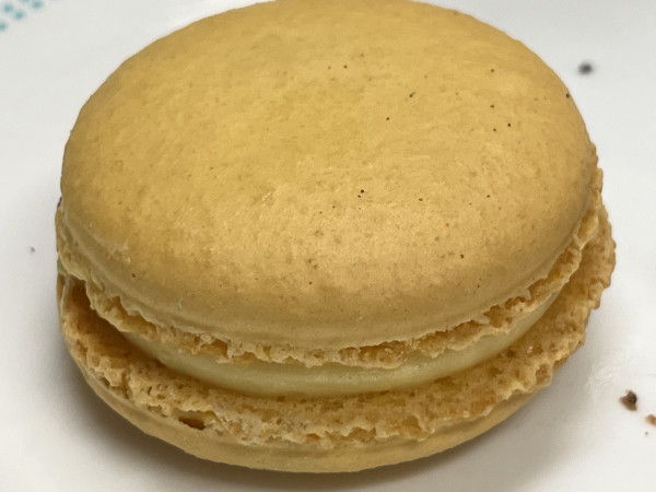 Yuzu Macaron-OMG Squee-Austin