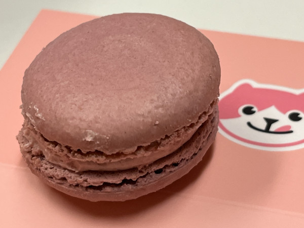 Blackberry Bonanza Macaron-OMG Squee-Austin