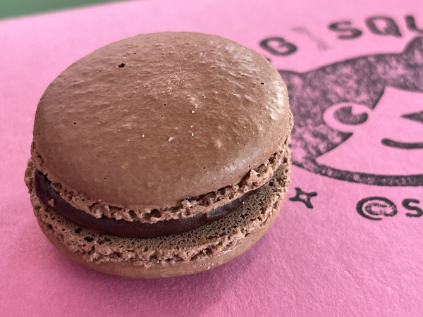 Turtle Candy Macaron-OMG Squee-Austin