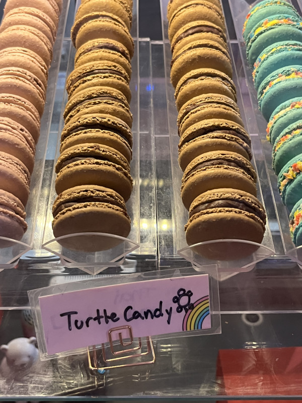 Turtle Candy Macaron-OMG Squee-Austin