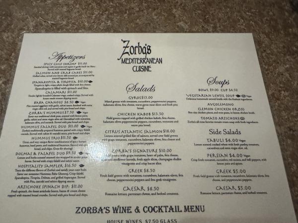 Falafel and Hummus Duo-Zorba’s Mediterranean Restaurant and Bar-Oklahoma City