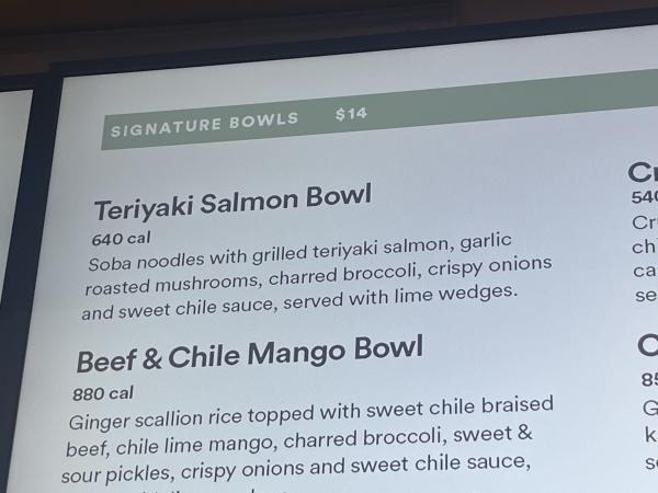 Teriyaki Salmon Bowl-Umami-Austin