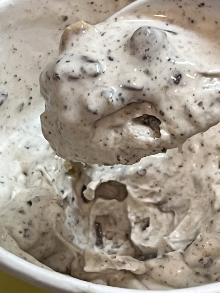 Vanilla Concrete-Ted Drewes Frozen Custard-St. Louis