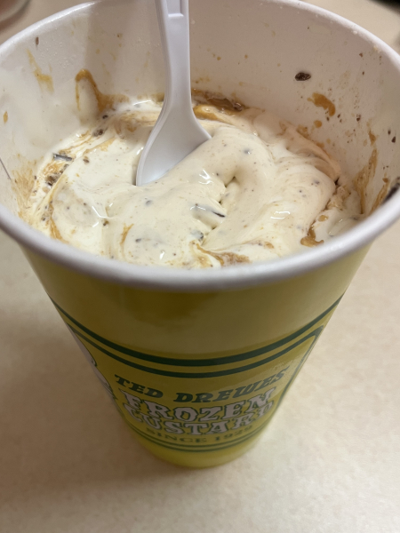 Vanilla Concrete-Ted Drewes Frozen Custard-St. Louis