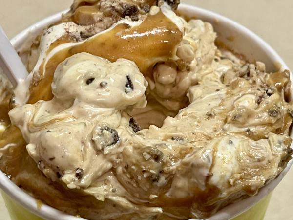 Vanilla Concrete-Ted Drewes Frozen Custard-St. Louis