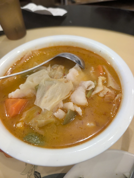 16.魚片湯 Spicy Fish Fillet Soup-Asia Cafe-Austin
