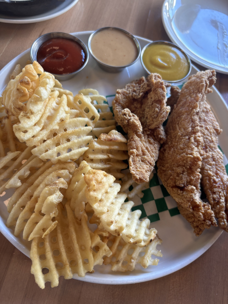 Dirdie Birdie Chicken Tenders-The Dirdie Birdie-Austin