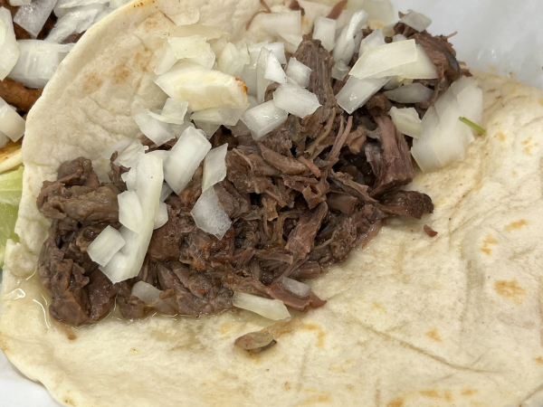 Barbacoa Taco-El Patrón Tacos & Deli-Austin