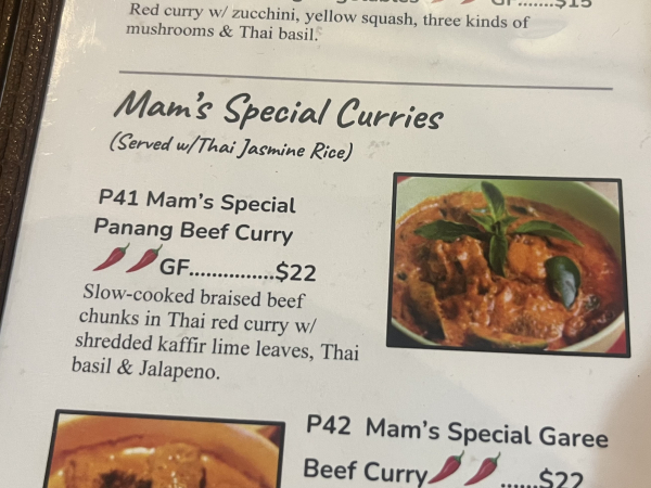 P41 Mam's Special Panang Beef Curry-Madam Mam's Thai Cuisine, UT West Campus at 26th ST-Austin