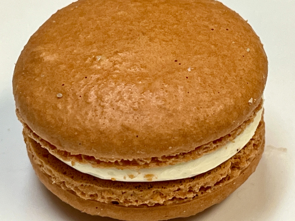 Orange Apricot Macaron-OMG Squee-Austin