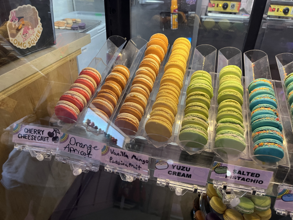 Orange Apricot Macaron-OMG Squee-Austin