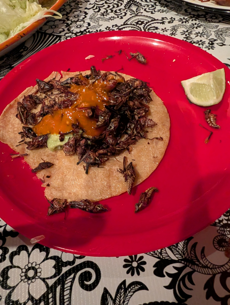 Chapulin Taco-La Diabla Pozole y Mezcal-Denver