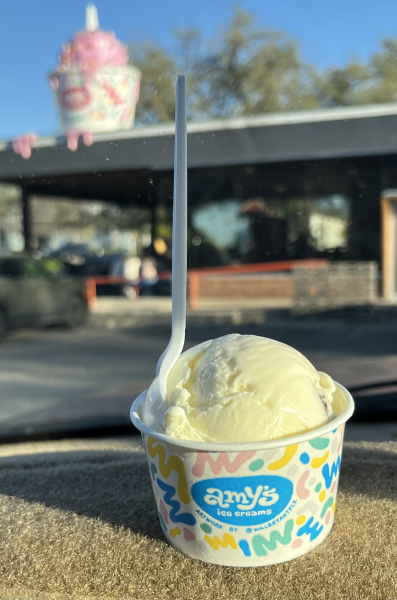Sweet Cream Ice Cream-Amy's Ice Creams-Austin