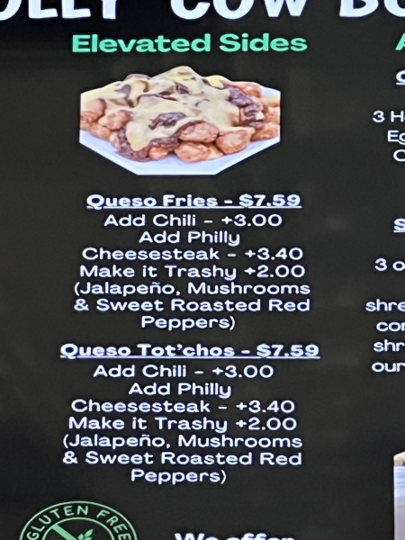 Queso Tot'chos-Wholly Cow Burgers-Austin