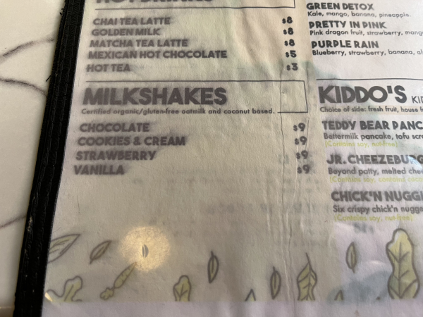 Strawberry Milkshake-Vegan Avenue On Main-San Antonio