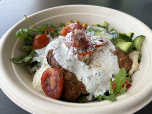 Salmon + Yogurt Dill Bowl-CAVA-Austin