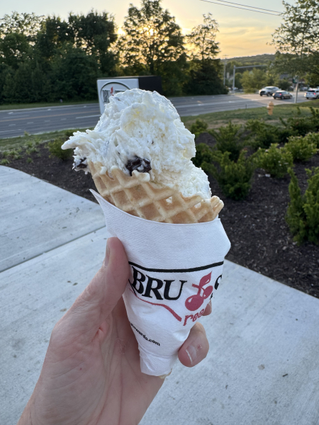 Coconut Chocolate Chip-Bruster's Real Ice Cream-Knoxville