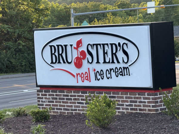 Coconut Chocolate Chip-Bruster's Real Ice Cream-Knoxville