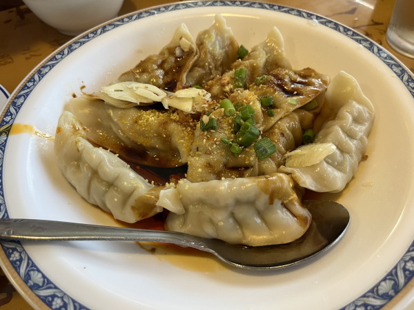 A5 四川水饺 Szechuan Dumplings (10)-Ho Ho Chinese B.B.Q.-Austin