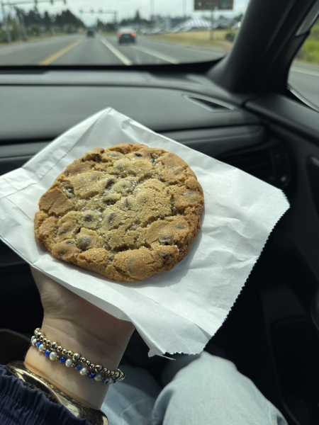 Chocolate Chip Cookie-Peter Pan Market & Deli-Astoria