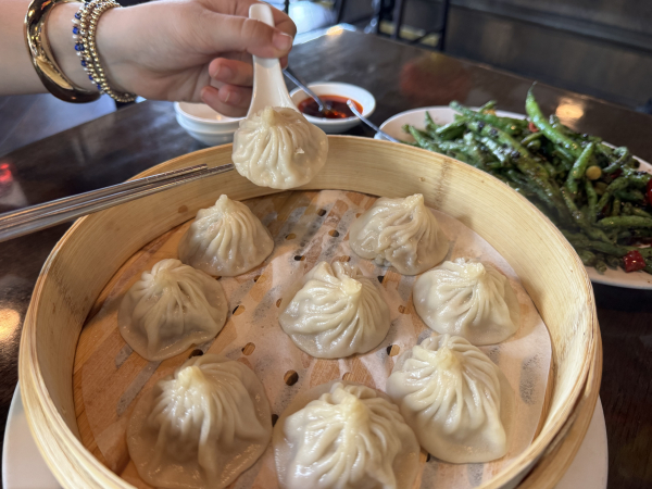Pork Dumplings-Duck House Chinese Restaurant-Portland