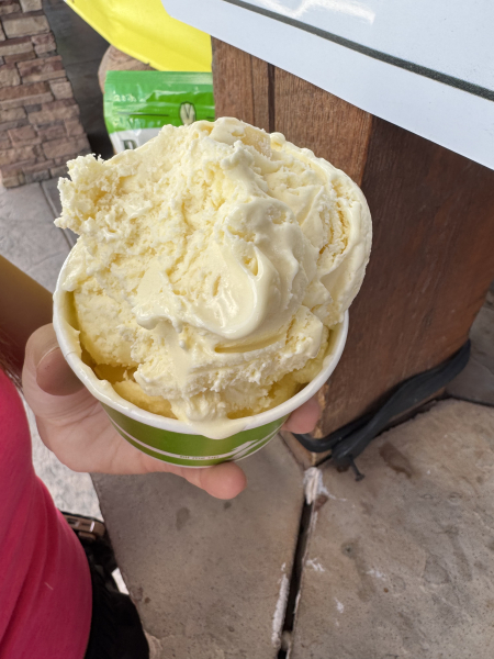 Pineapple Ice Cream-PistachioLand Farm Tours-Alamogordo