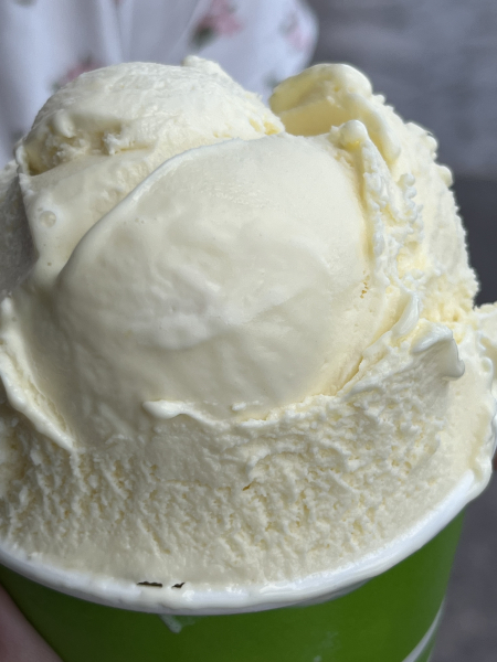 Pineapple Ice Cream-PistachioLand Farm Tours-Alamogordo