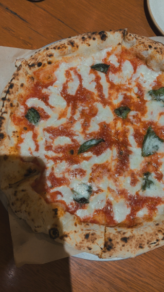 Nachos and pizza-The 9 World Cuisine Restaurant-Ahmedabad