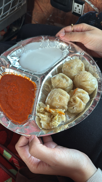 Momos-The Dhaba-Ahmedabad
