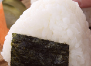 Onigiri-Sugar Pine-Austin