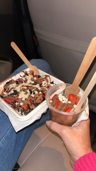 Chocolate strawberry-The Blue Oven-Ahmedabad