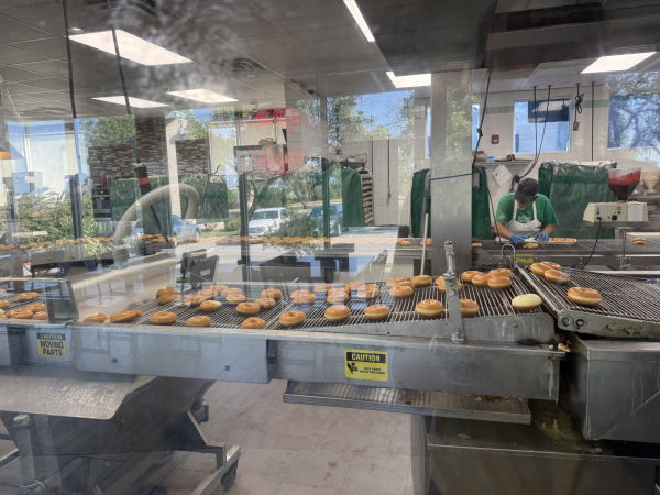 Cake Donut-Krispy Kreme-Austin