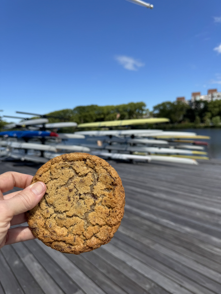 Chocolate Chip Cookie-Verveine Cafe & Bakery-Cambridge
