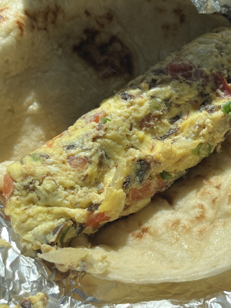 Machacado & Egg Breakfast Taco-Monica's Authentic Mexican Restaurant-Corpus Christi