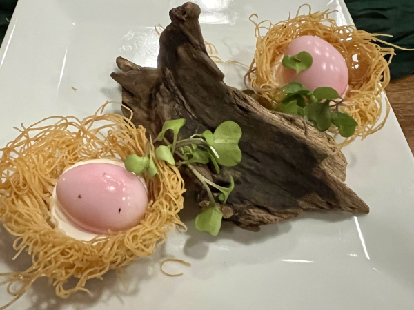 Gaffers Birds Nest-Ovenbird | Austin-Austin