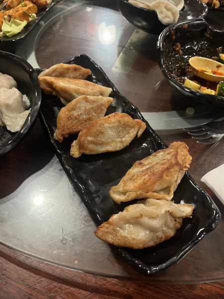 Pan fried dumpling with shrimp and pork-Dumpling House-Cambridge
