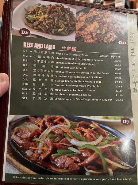 D2. 小辣椒牛肉 Shredded Beef with Long Horn Peppers-Dumpling House-Cambridge