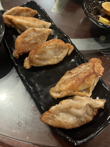 Pan fried dumpling with shrimp and pork-Dumpling House-Cambridge