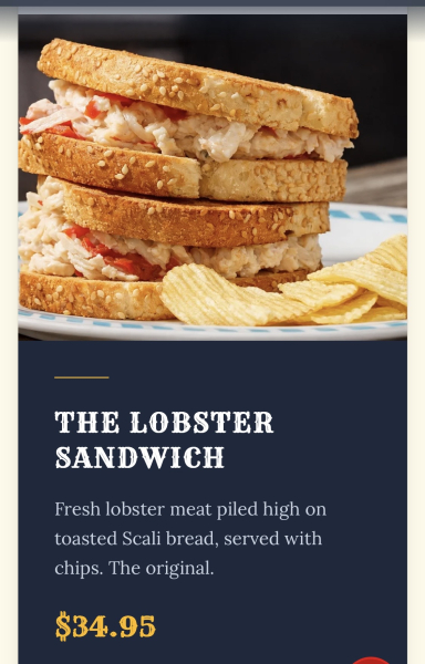 Lobster Sandwich-Alive & Kicking Lobsters-Cambridge